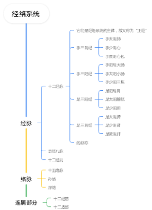 经络系统