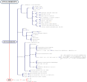 皮亚杰的认知发展阶段理论