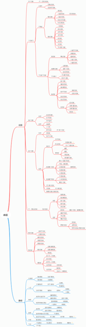血管