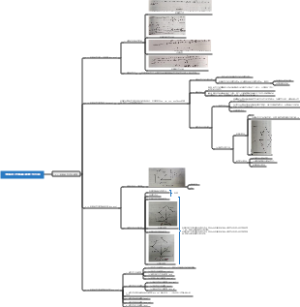 电阻式传感器原理与应用
