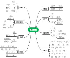 小学语文思维导图
