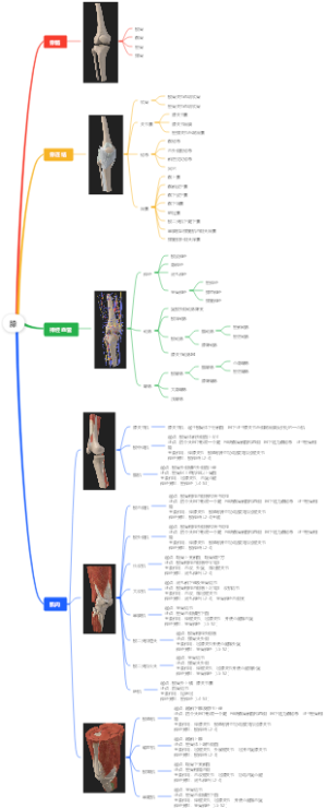 膝