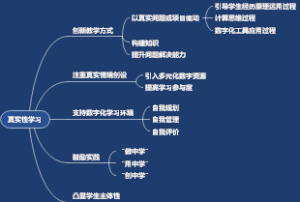 真实性学习
