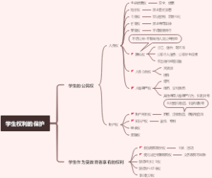 学生权利的保护