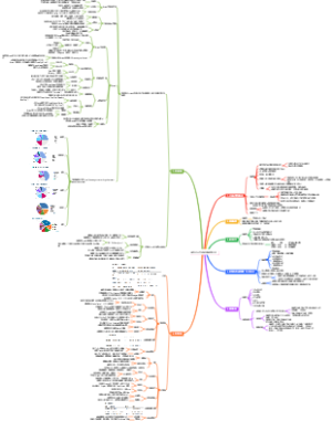 深圳开公司流程到跨境开店