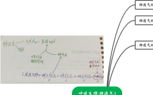 呼吸生理·肺通气1