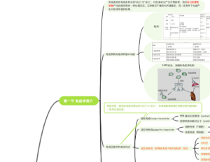 医学免疫学-最终版1001