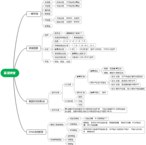 医学遗传学-基因突变