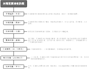 村落发展演变历程