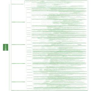 1000个铁粉打造个人品牌的底层逻辑