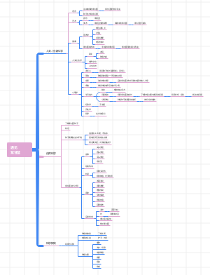 小班主题探究--紫甘蓝