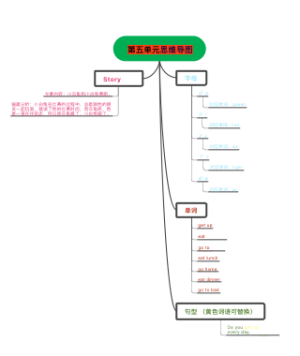 第五单元树状图思维导图