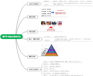 第三节 安全心理与行为