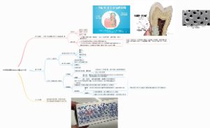 牙齿敏感的原因及解决方案