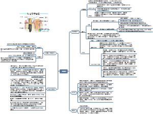 种植牙思维导图