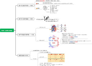 初中生物第四章 人体内物质的运输