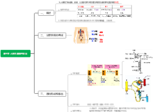 初中生物第五章 人体内废物的排出