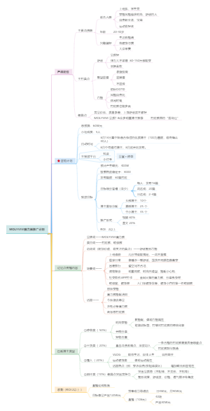 MOLYVIVI魔力裤营销计划