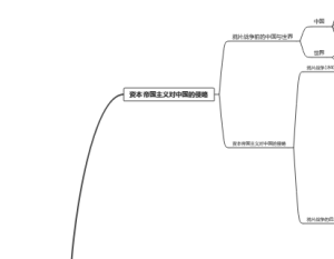 考研史纲 反对外国侵略的斗争第一章