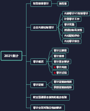 2021审计