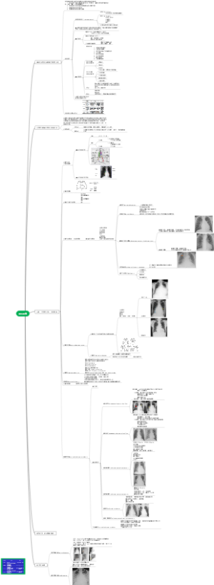 循环系统-医学影像学