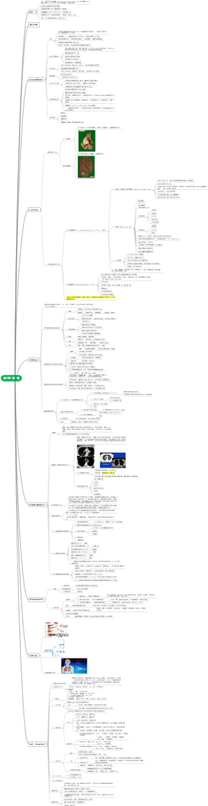 内科学呼吸系统——肺 癌