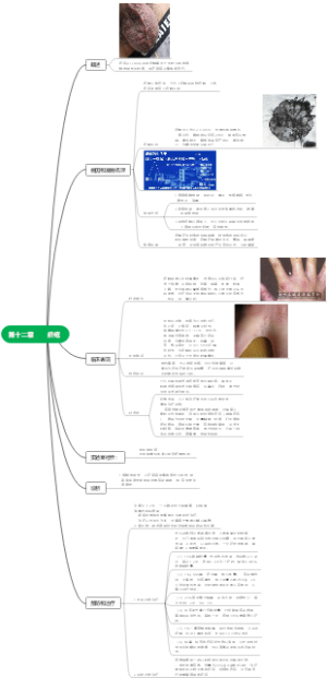 皮肤性病学——第十二章 疥疮