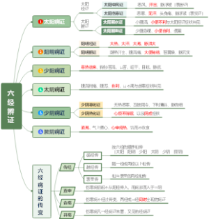 六经辨证