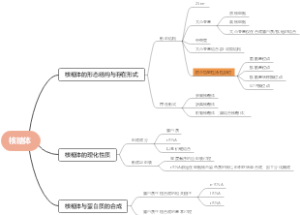 细生 第六章核糖体