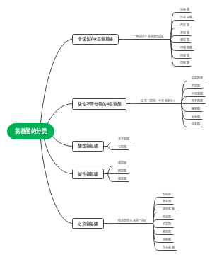 氨基酸的分类