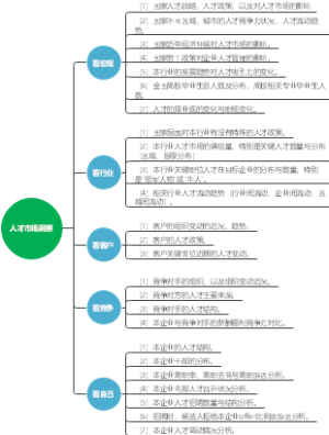 人才洞察
