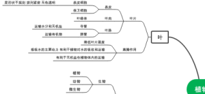 植物与土壤