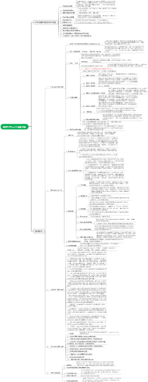 阿里国际店的运营