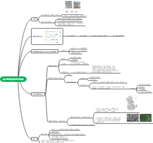 当代基塘景观的空中观察思维导图