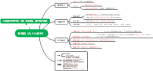 自考 00530 中国现代文学选  林薇因《九十九度中》