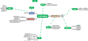餐饮抖音发展步骤