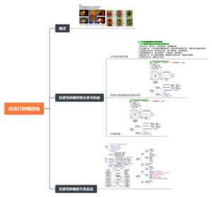 抗恶性肿瘤药物思维导图