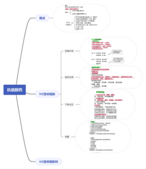 抗组胺药思维导图