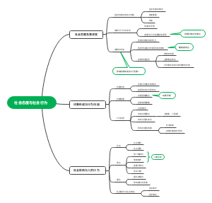 第十一章社会态度与行为