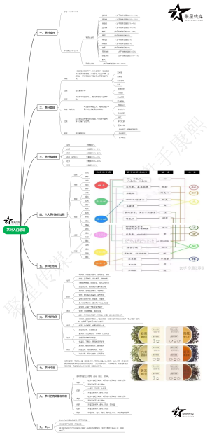 茶叶入门培训