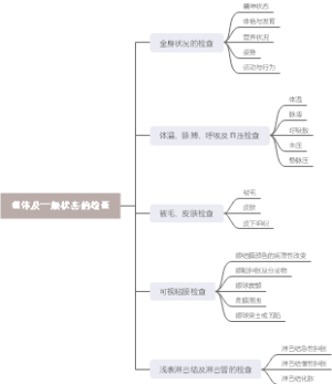 第二章 整体及一般状态的检查