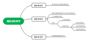 酶的活性调节