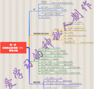 思维导图社区