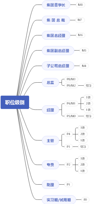 职位级别