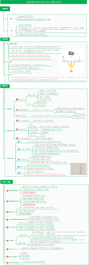 毛细管等电聚焦电泳