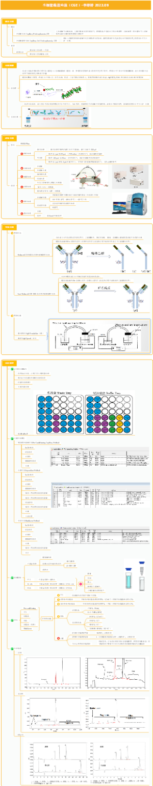 毛细管凝胶电泳(CGE)-李婷婷 2023.09