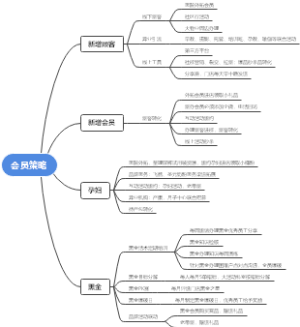 会员策略