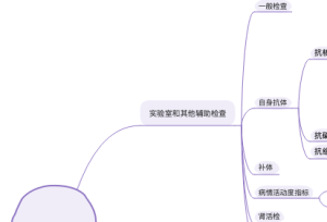 红斑狼疮知识导图