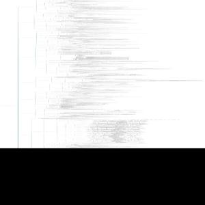 系统规划与管理师备考笔记