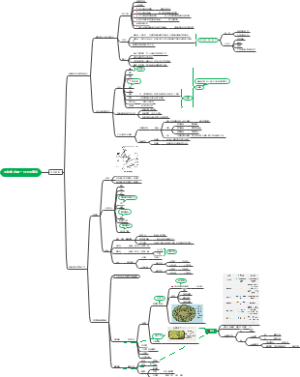 生物学 必修一 分子与细胞